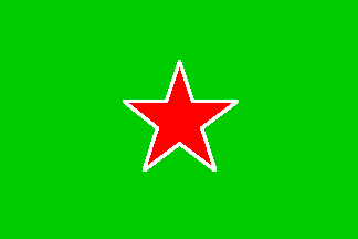 [MAPU flag]